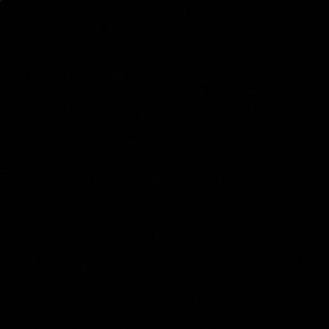 Meet your Posher, Toyin